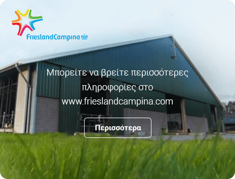 friso visual gr