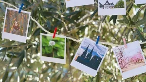 mh_creating_together_a_family_tree