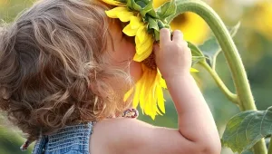 mh_learning_about_the_sun_from_plants